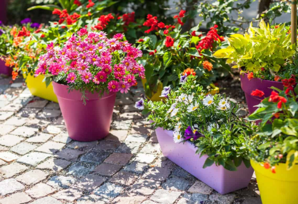 Taman berpadu batu kerikil dan pot bunga warna-warni